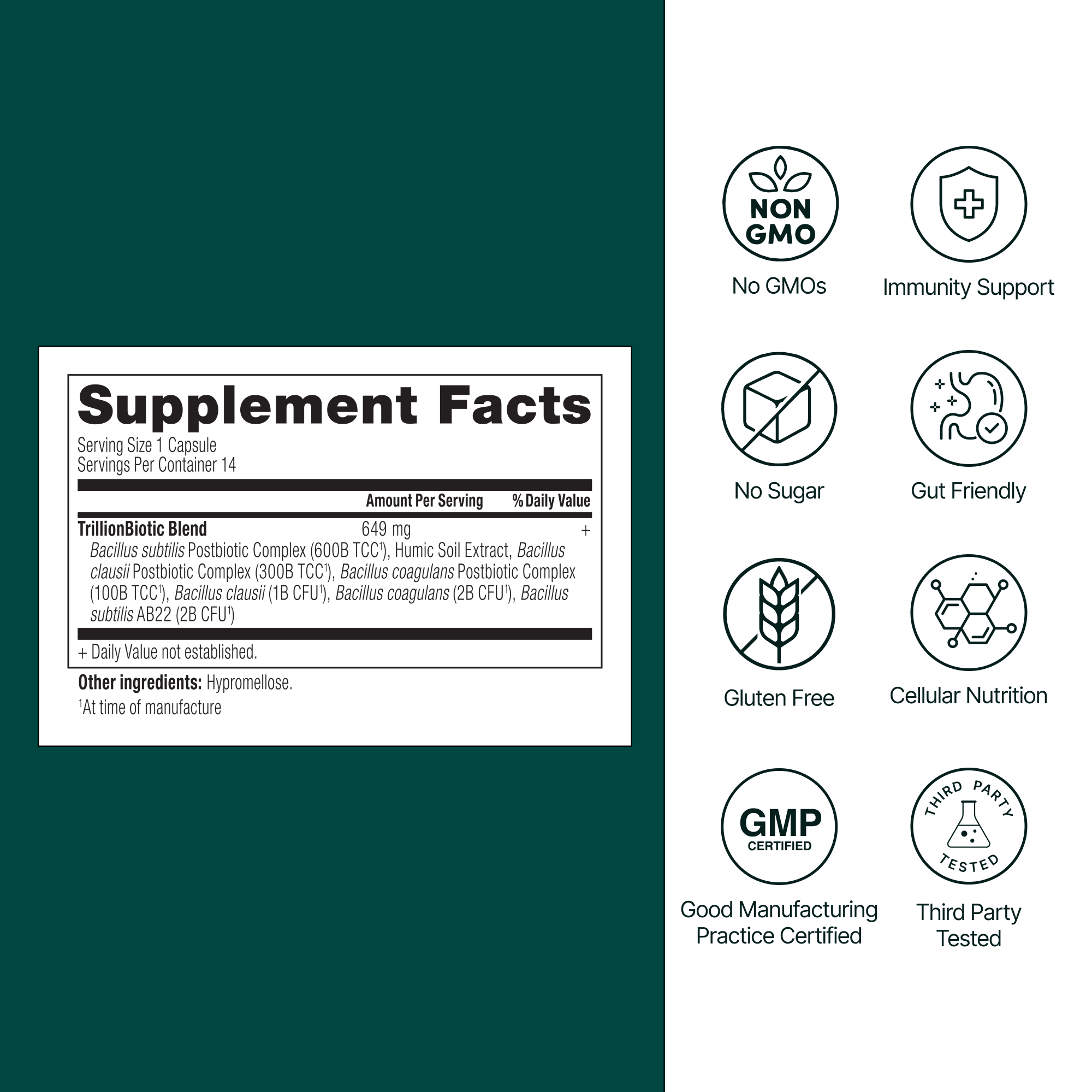 Supplement facts label with icons on a green background