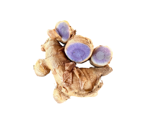 Fermented Blue Turmeric