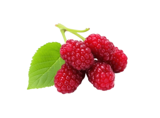 Red mulberries