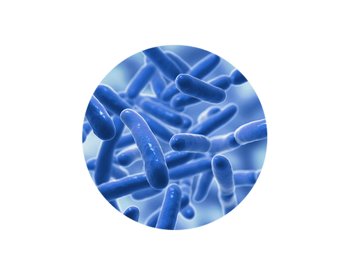 Postbiotics & Parabiotics
